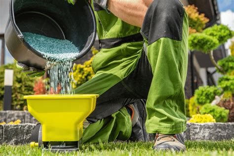 Accurate Fertilization Timing When Is The Best Time To Fertilize Your