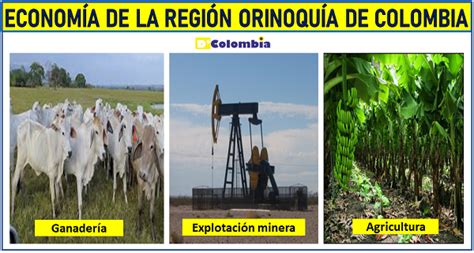 Economia De Las Regiones De Colombia De Colombia 2022