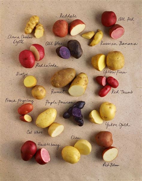 Blog Da Gavioli Batatas Rústicas Potato Varieties Types Of Potatoes