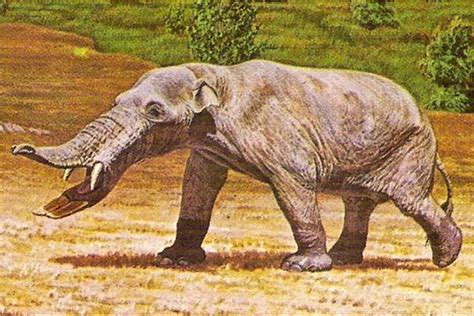 Prehistoric World Prehistoric Creatures Science Illustration