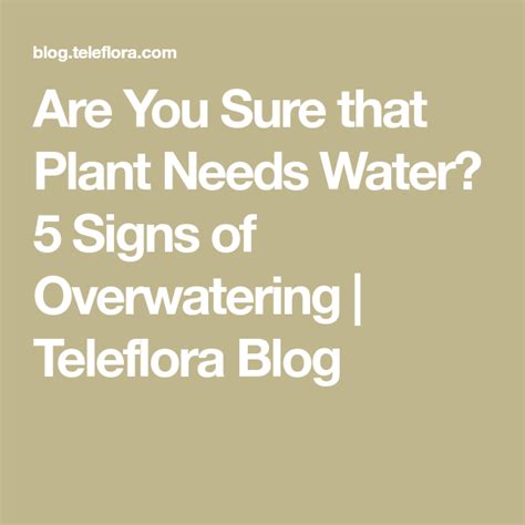 Are You Sure That Plant Needs Water 5 Signs Of Overwatering Plants