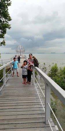 Taman negara tg piai perlu peruntukan rm5 juta bangunkan dataran pengunjung. Tanjung Piai National Park (Pontian District) - 2020 All ...