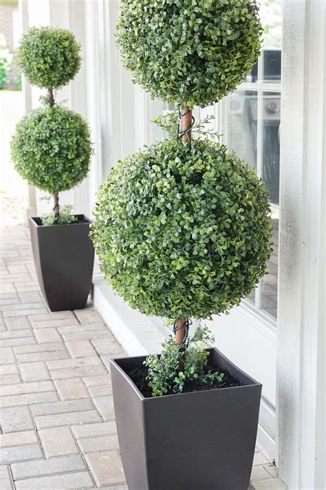 Outdoor Topiaries Sincerely Sara D Home Decor And Diy Projects