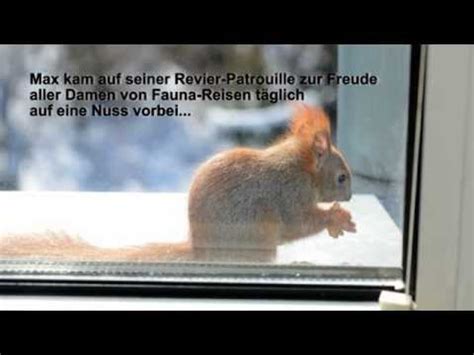 Geburtstagswünsche als gif sind etwas ganz besonderes. Lustige Sprüche Winter, Kab... | samarasuzilusi net