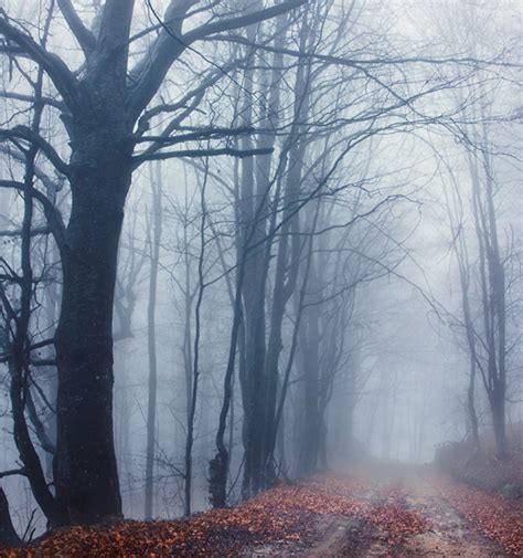 12 Foggy Photos Make Earth Look Like Another Planet Sponsored