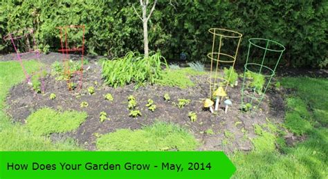 How Does Your Garden Grow May 2014