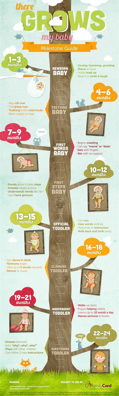 Stages Of Baby Development Captured In Infographics Kids Making Change