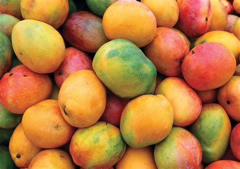 Trinidadian Mango Chutney — Produce Alliance I Foodservice I Fresh Produce Management I Procurement