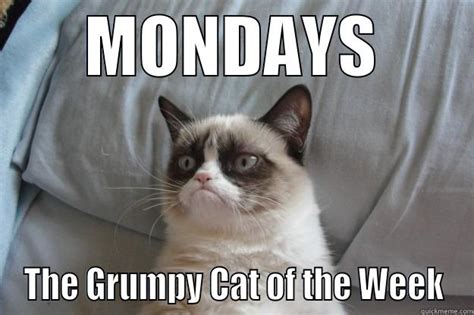 If Grumpy Cat Was A Day Of The Week Quickmeme