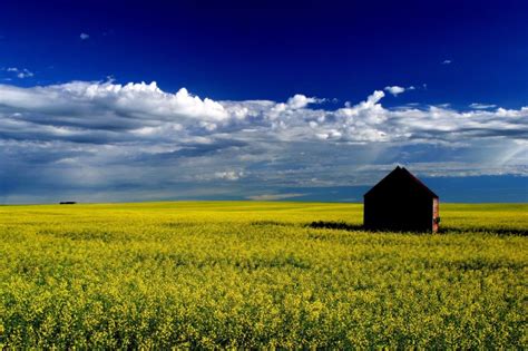 25 reasons to explore the Canadian prairies [PICs] - Matador Network