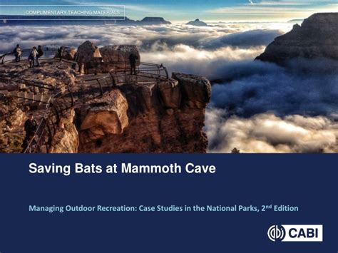 Ppt Saving Bats At Mammoth Cave Powerpoint Presentation Free