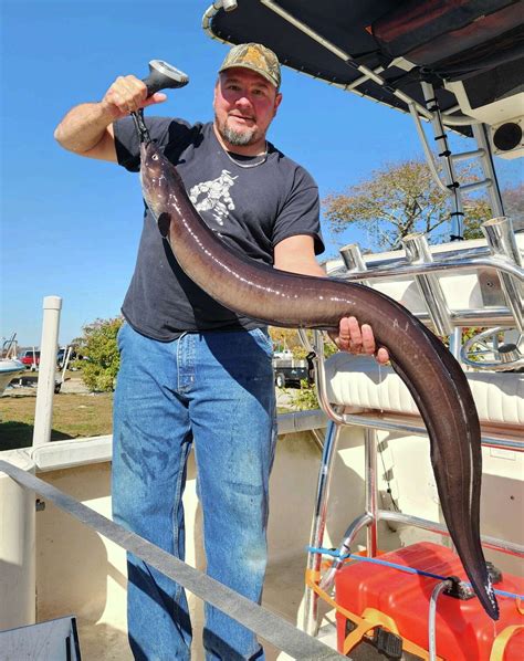 Middlefield Angler Catches Monster Eel Setting Ct Record