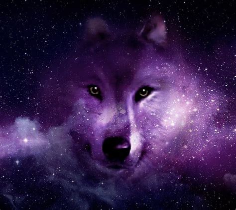 Galaxy Anime Wolf Cool Wolf Galaxy Dog Background Hd Png Download