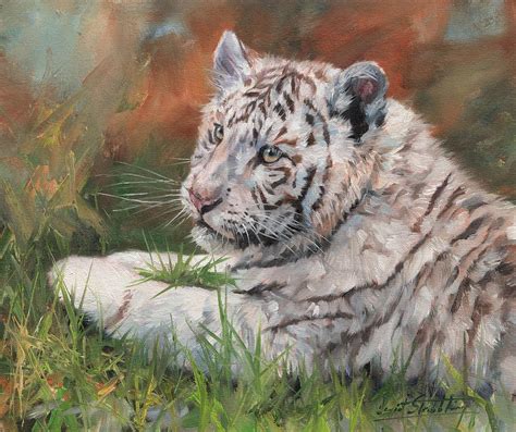 White Tiger Cub Painting By David Stribbling Fine Art America