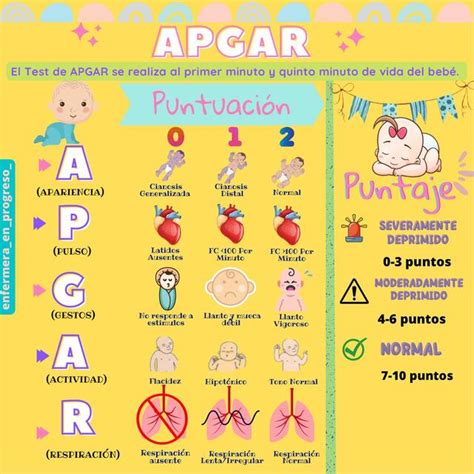 El Test De Apgar Ana Carrasco Fernandez Udocz