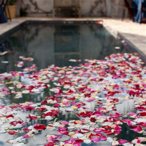 Breathtaking Ways To Dress Up A Pool For A Wedding Pool Wedding