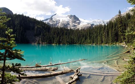 Floating Logs In Turquoise Mountain Lake Wallpaper Nature Wallpapers