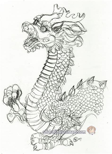 Chinese Dragon Sketch By Shidonii On Deviantart