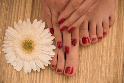 Female Feet And Hands At Spa Salon Stock Photo Image Of Beauty