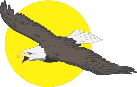Eagles Clipart Free Download Free Download On Clipartmag