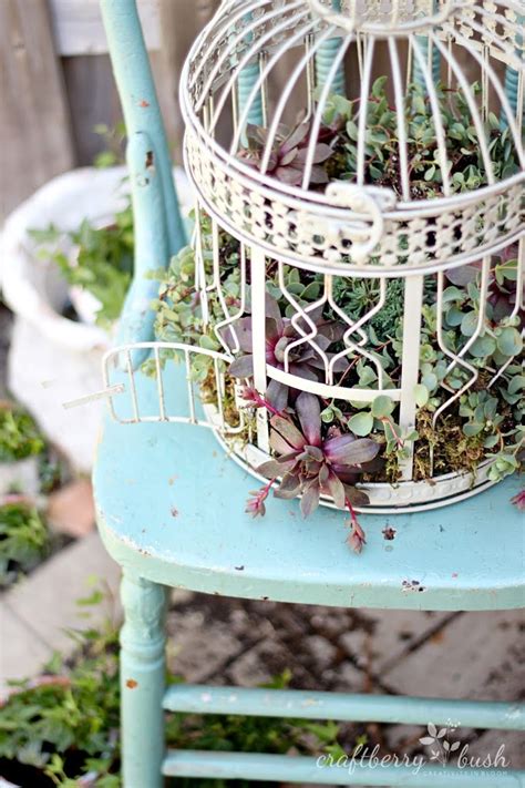 How To Plant Succulents In A Birdcage