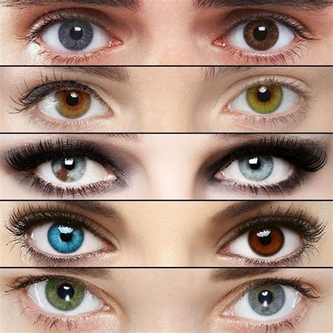 July 12th National Different Colored Eyes Day Different Colored Eyes