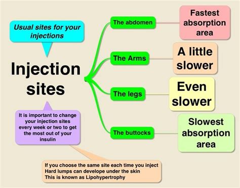 We did not find results for: Injection sites for Type 1 Diabetics | Diabetic Life | Pinterest | Type 1