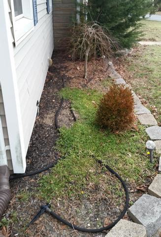 You will be able to prevent. Pests We Treat - Termite Trenches - Termite Removal ...