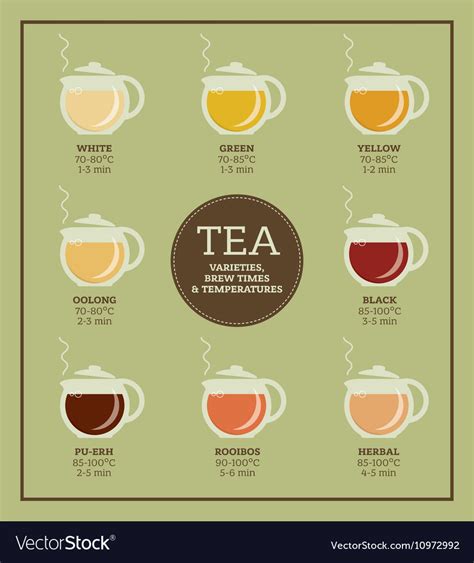 Tea Varieties Brewing Time And Temperature Vector Image