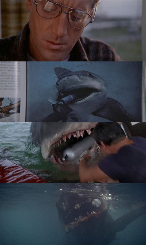 25 Minutes Into Jaws 1975 Brody Reads A Book That Shows A Photo Of A