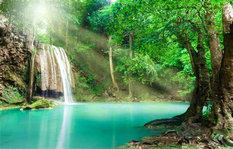 Wasserfall Regenwald Fti Reiseblog