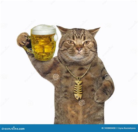 Cat Drinks Beer From Mug Stock Photo Image Of Light 183888408