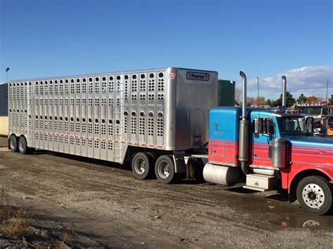 Average salary of $90,000 per year. Livestock Network | Cattle Trailers For Sale | Cattle ...