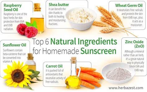 Top 6 Natural Ingredients For Homemade Sunscreen Herbazest