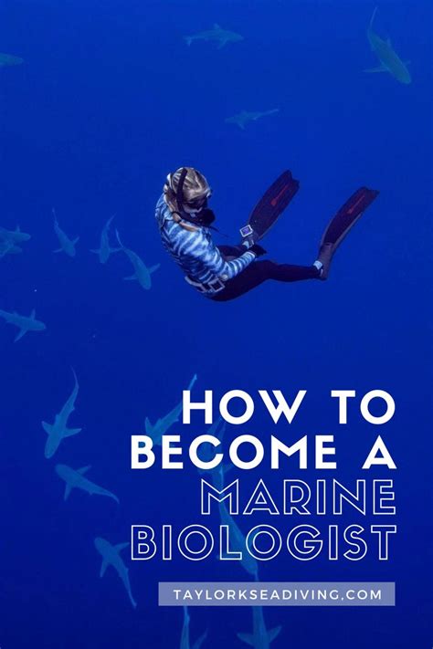 How To Become A Marine Biologist Marine Biology Jobs Marine Biology