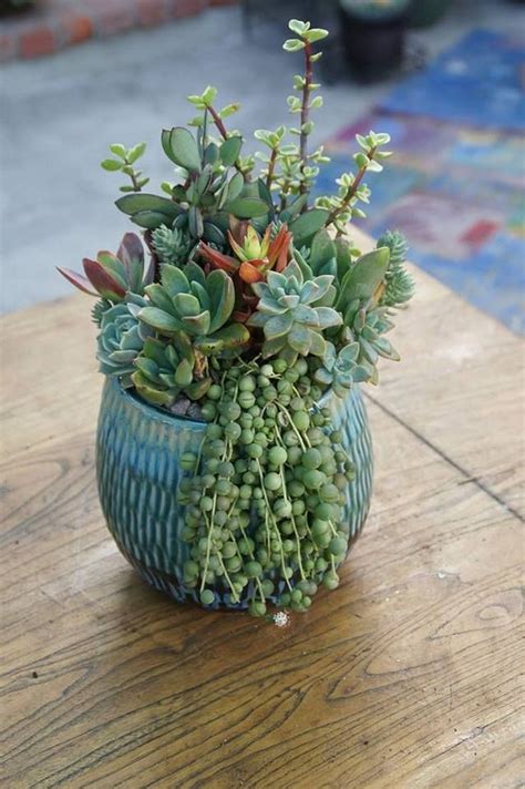 Nice 30 Mixed Potted Succulent Pot Ideas 30