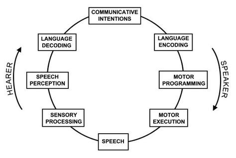 1 The Human Communication Cycle Download Scientific Diagram