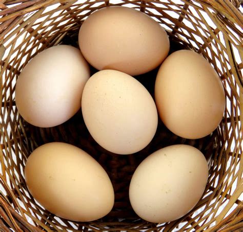 Sahaja Aharam Brown Eggs Free Range
