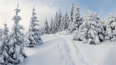 Witte neerslag als het erg koud is , als het zo koud is dat het ook nog blijft liggen kan het erg glad is het de of het sneeuw. Sneeuw op komst: vanaf donderdag winter in Alpen | Het Parool