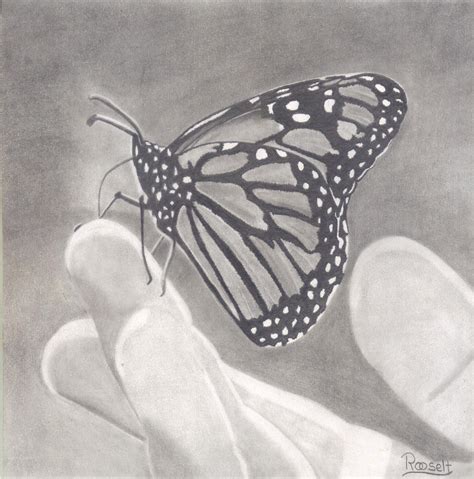 Dibujo Realizado A Mano Con Lápiz Gráfito 4b Mariposa Monarca Blanco Y