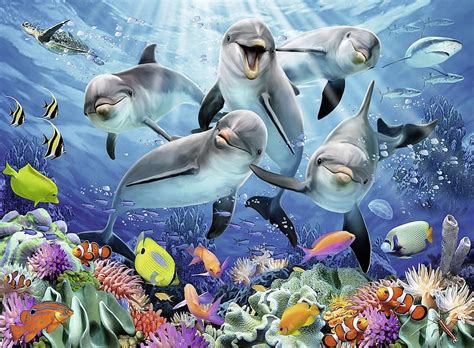 Free Download Dolphins Underwater Colorful Art Luminos Fish Sea