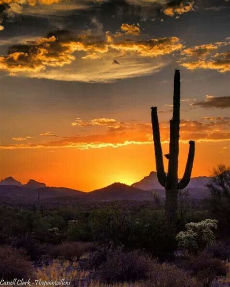 Your phoenix arizona desert sunset stock images are ready. Arizona Sunset | Arizona landscape, Arizona sunset, Desert sunset