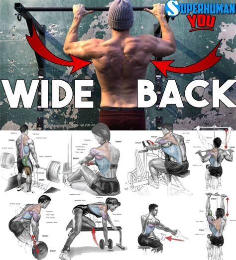 4 Wide Back Exercises Workout Workout Guide Exercise
