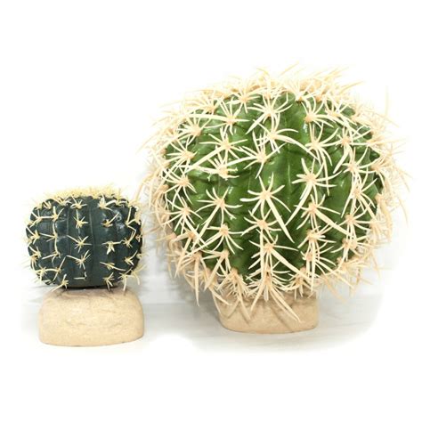The aim of the game is simply to provide sufficient water. Cactus pour terrarium désertique - décor EXO TERRA