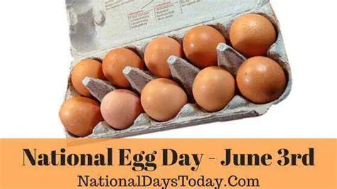 National Egg Day 2023 Things Everyone Should Know