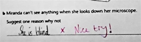 30 Funny Test Answers Written By Clever Kids