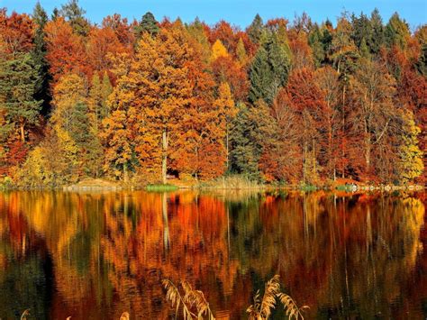 14 Amazing Places To See The Autumn Leaves In Europe