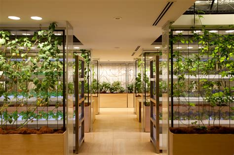 Indoor And Underground Urban Farms Are Growing