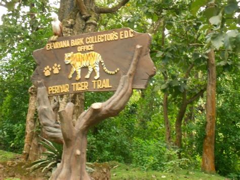 Top 10 Wildlife Sanctuaries In Kerala Insights India