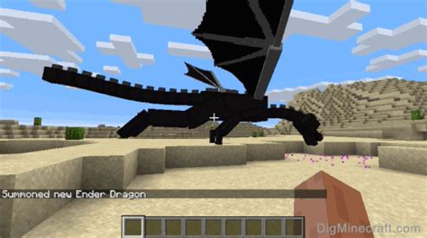 How many stock of stonks are there in the entirety of the hypixel skyblock realm. How to Summon an Ender Dragon in Minecraft
